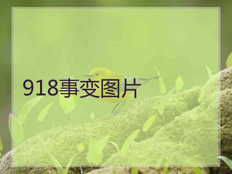 918事变图片 918事变图片