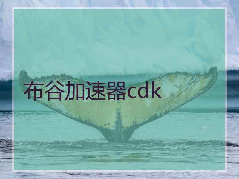 布谷加速器cdk 布谷加速器cdk