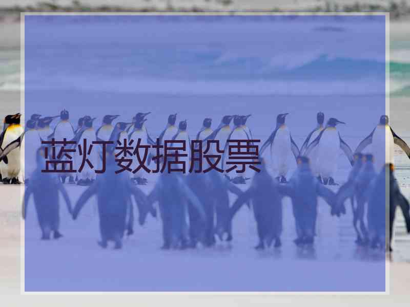蓝灯数据股票 蓝灯数据股票