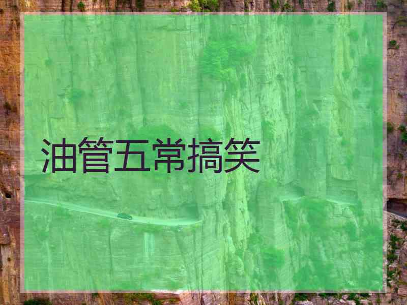 油管五常搞笑 油管五常搞笑