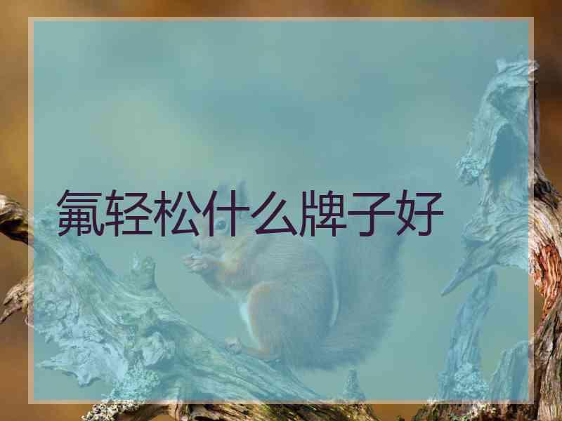 氟轻松什么牌子好 氟轻松什么牌子好