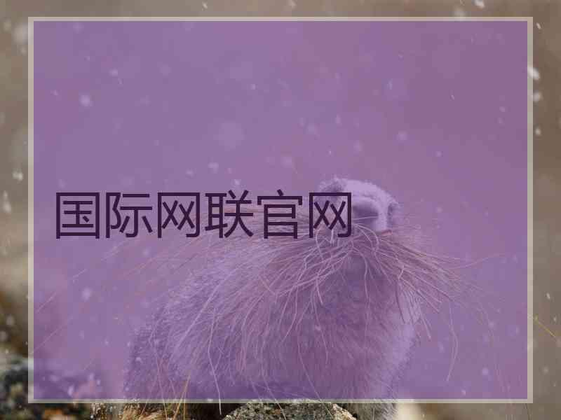 国际网联官网 国际网联官网