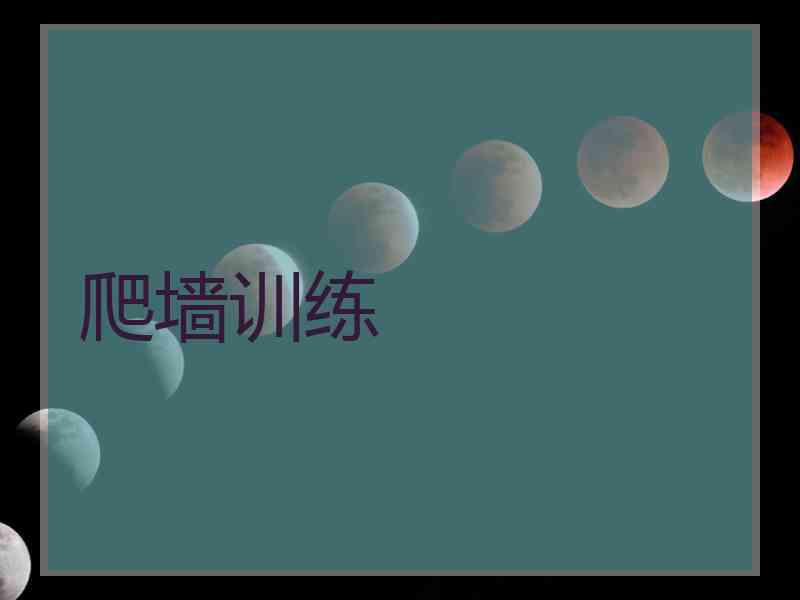 爬墙训练 爬墙训练