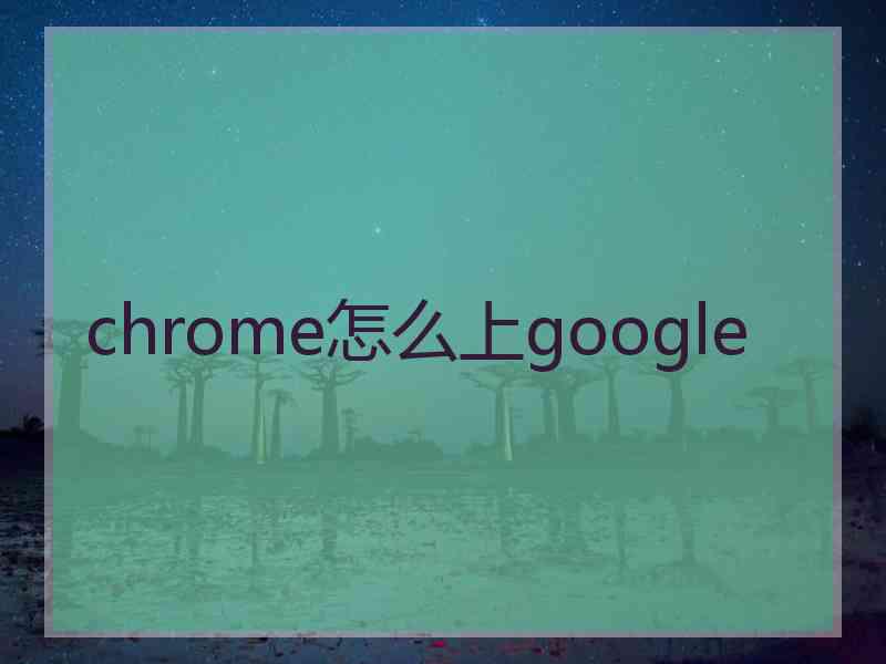 chrome怎么上google