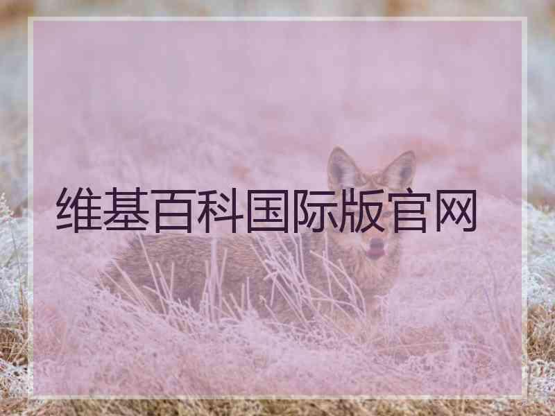 维基百科国际版官网 维基百科国际版官网