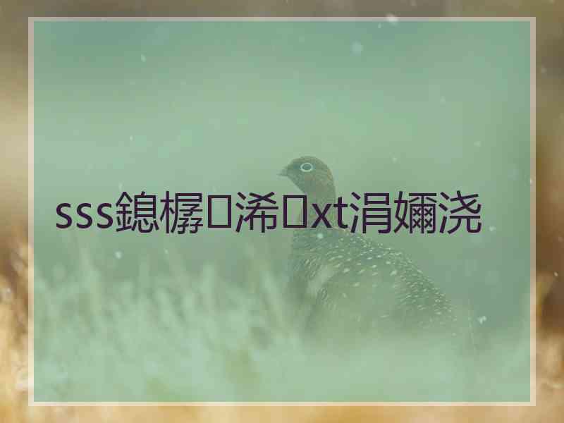 sss鎴樼浠xt涓嬭浇 sss鎴樼浠xt涓嬭浇
