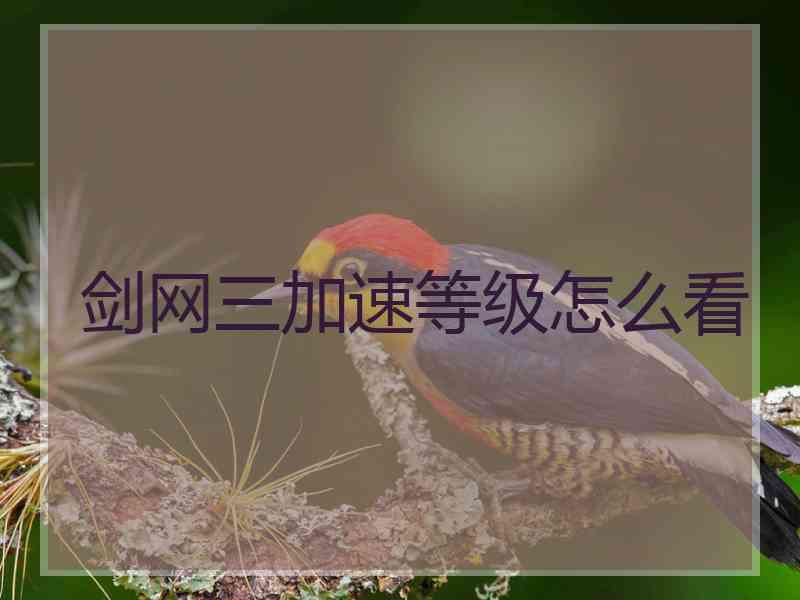剑网三加速等级怎么看 剑网三加速等级怎么看
