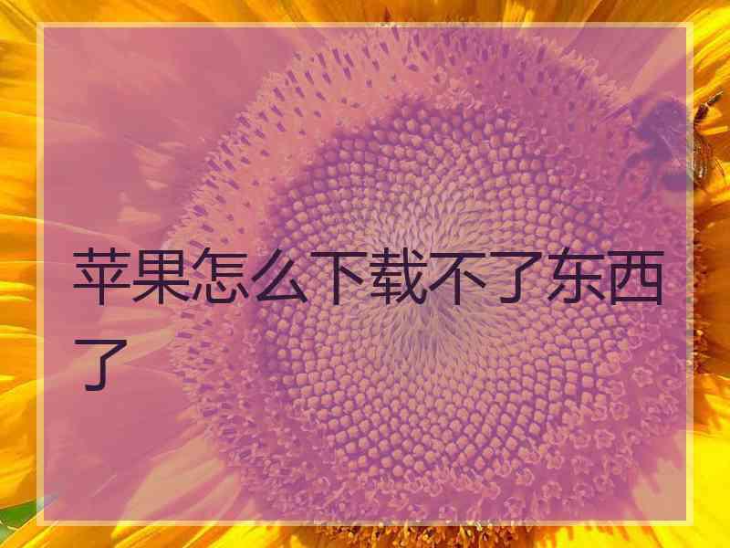 苹果怎么下载不了东西了 苹果怎么下载不了东西了