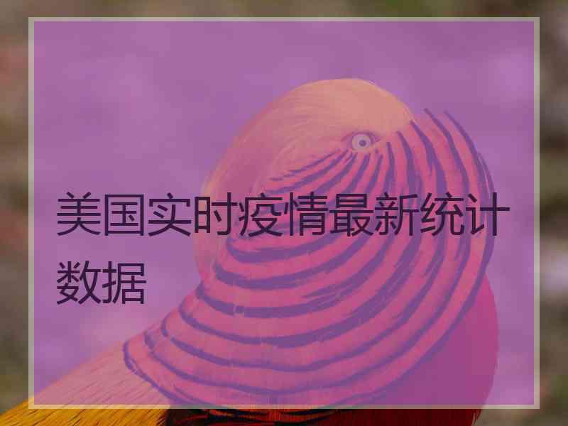 美国实时疫情最新统计数据 美国实时疫情最新统计数据