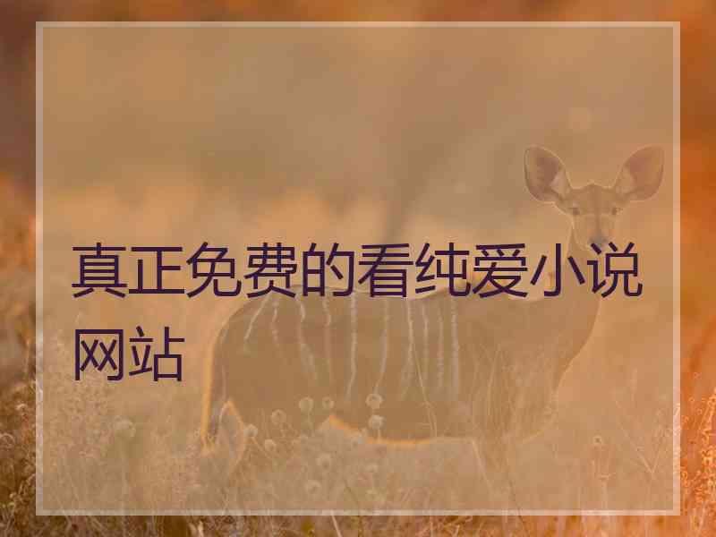 真正免费的看纯爱小说网站 真正免费的看纯爱小说网站