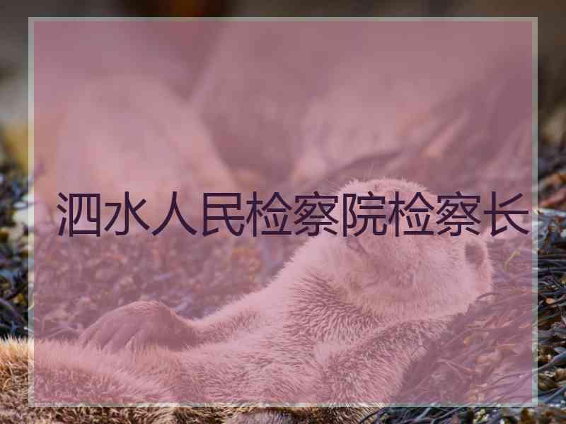 泗水人民检察院检察长 泗水人民检察院检察长