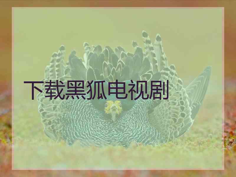 下载黑狐电视剧 下载黑狐电视剧