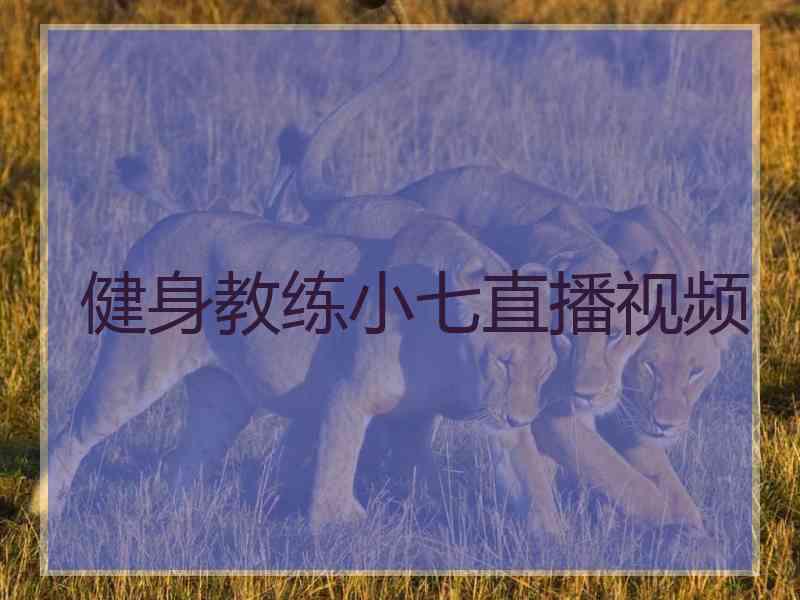 健身教练小七直播视频 健身教练小七直播视频