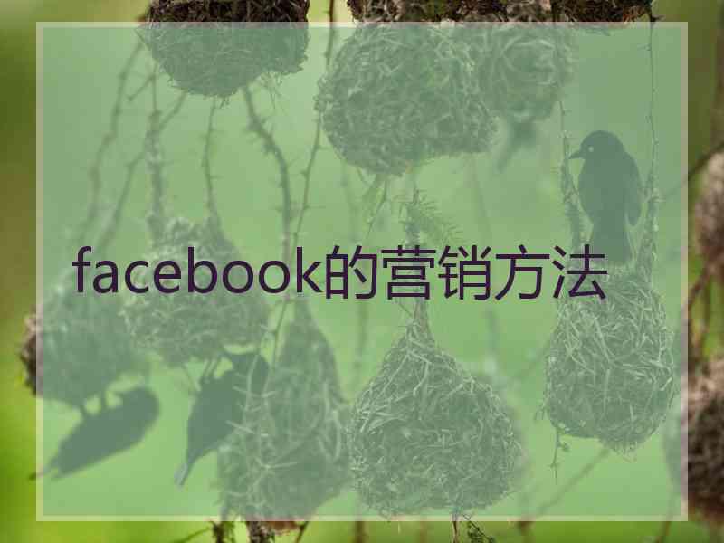 facebook的营销方法 facebook的营销方法
