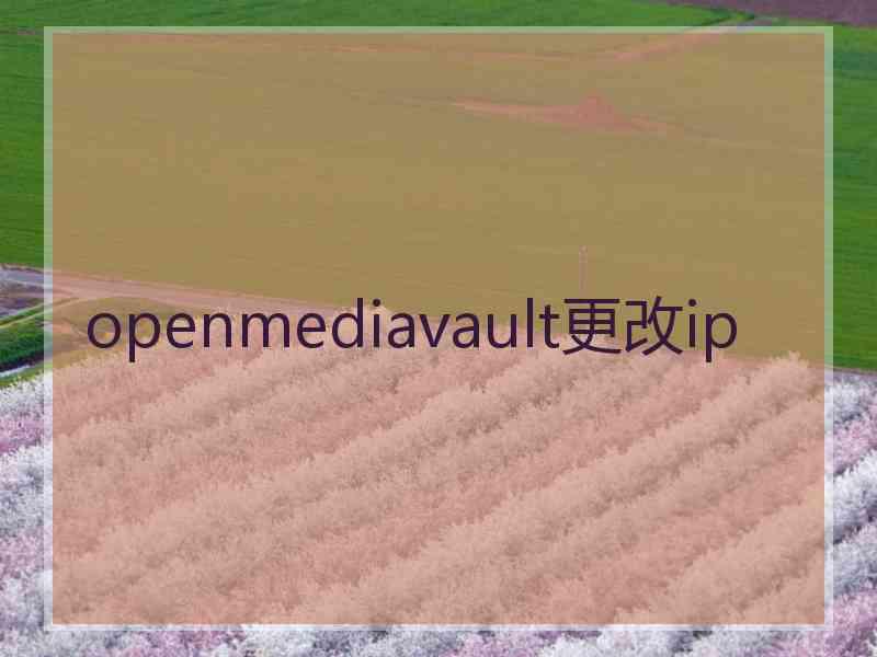 openmediavault更改ip