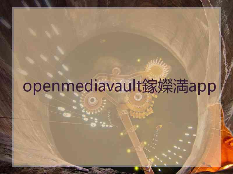 openmediavault鎵嬫満app