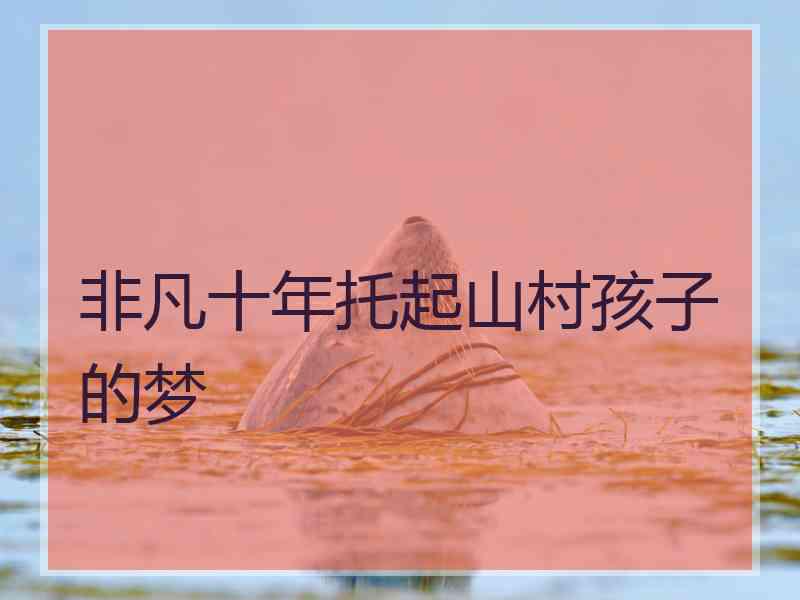 非凡十年托起山村孩子的梦 非凡十年托起山村孩子的梦