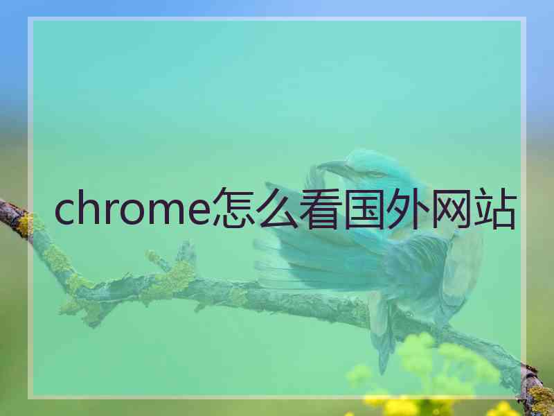 chrome怎么看国外网站 chrome怎么看国外网站