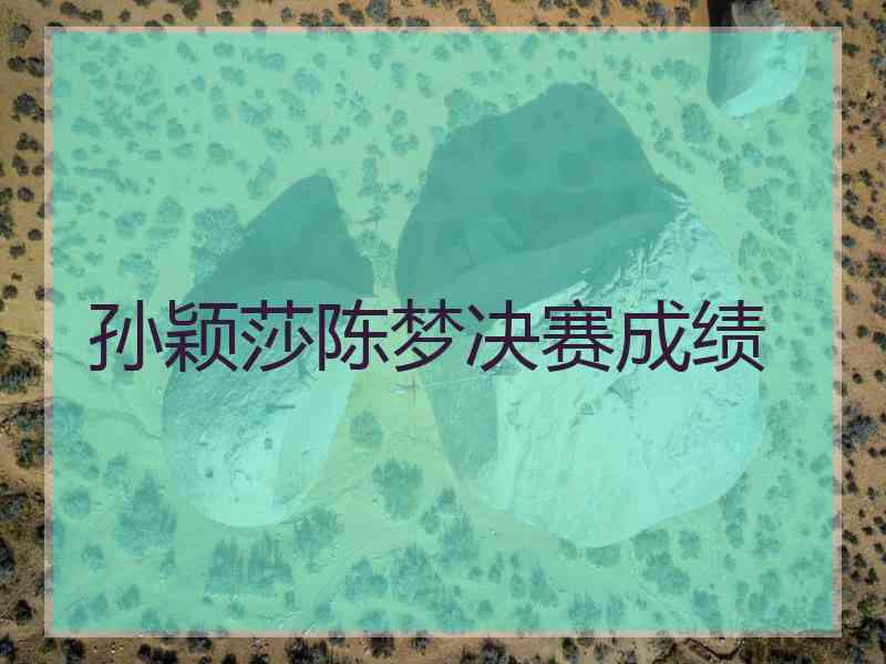 孙颖莎陈梦决赛成绩 孙颖莎陈梦决赛成绩