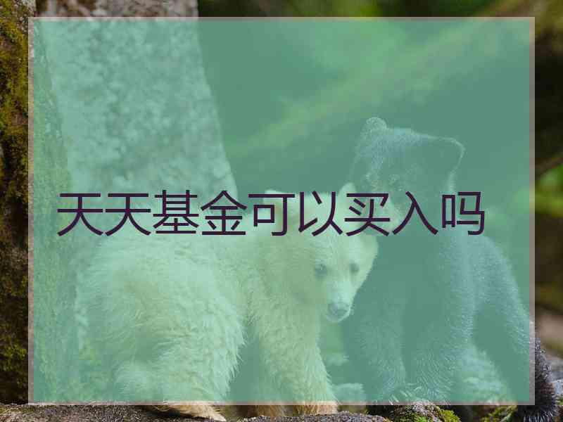 天天基金可以买入吗 天天基金可以买入吗
