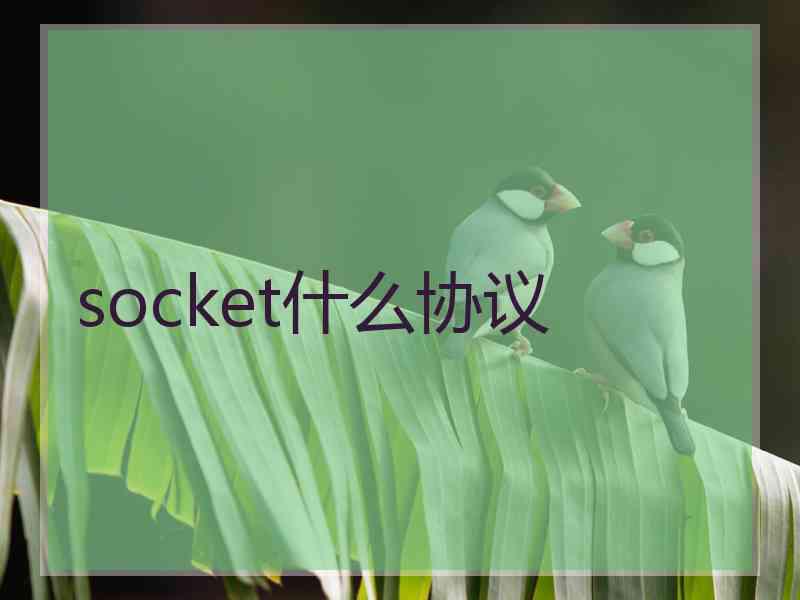 socket什么协议 socket什么协议