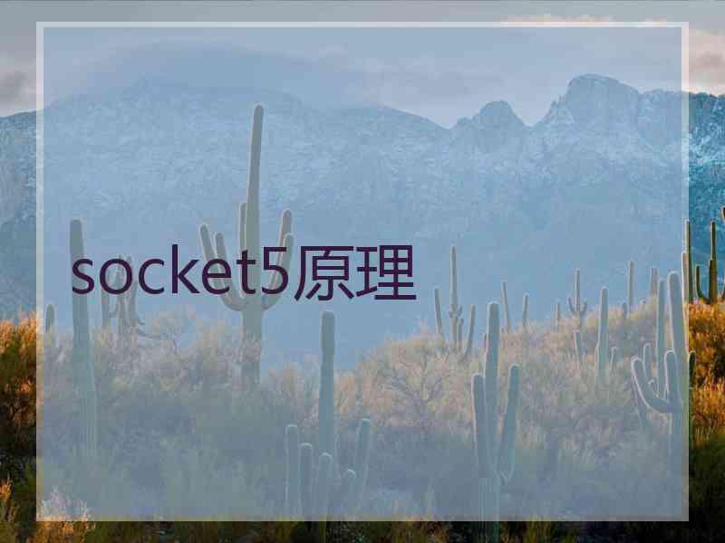 socket5原理 socket5原理