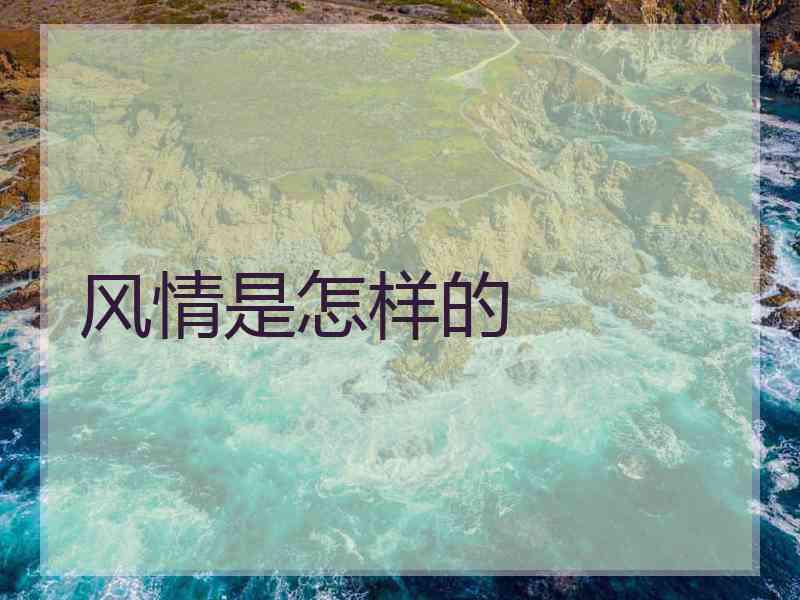 风情是怎样的 风情是怎样的