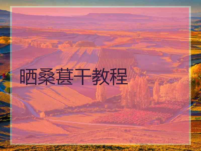 晒桑葚干教程 晒桑葚干教程