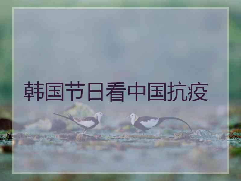 韩国节日看中国抗疫 韩国节日看中国抗疫