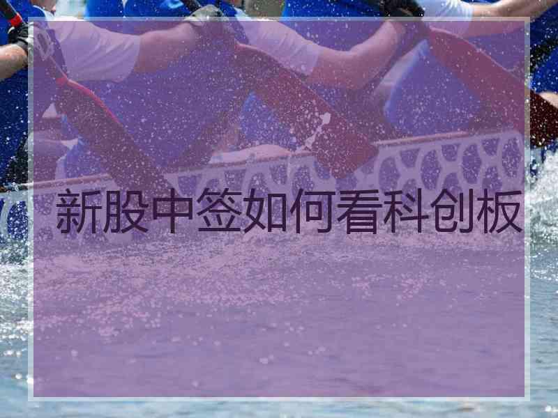 新股中签如何看科创板 新股中签如何看科创板