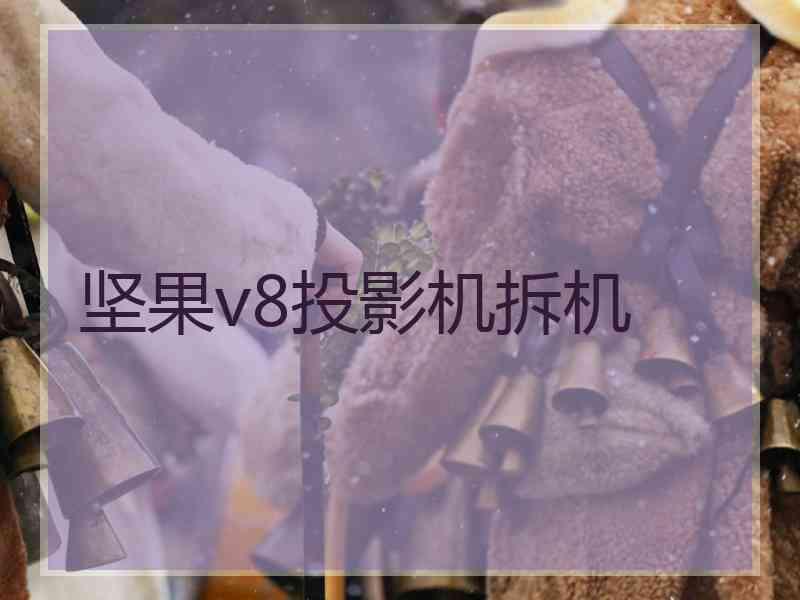 坚果v8投影机拆机 坚果v8投影机拆机