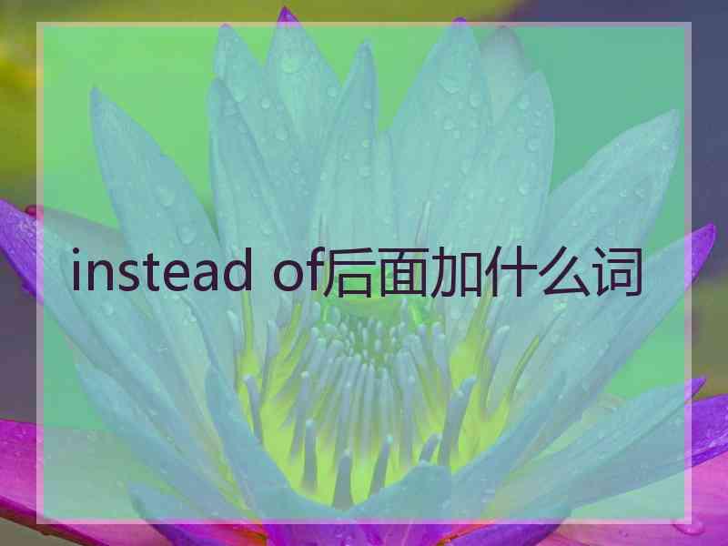 instead of后面加什么词 instead of后面加什么词