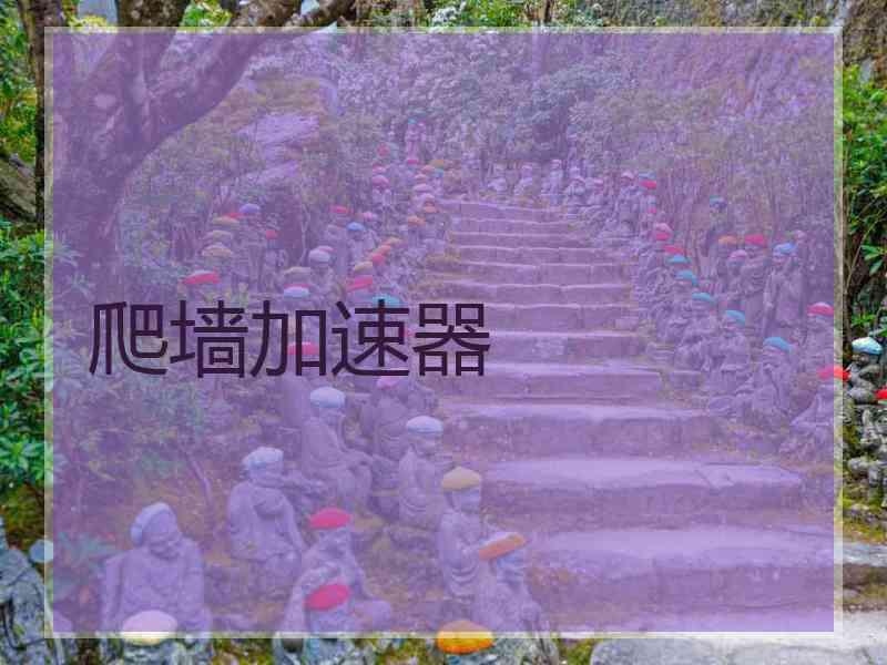 爬墙加速器 爬墙加速器