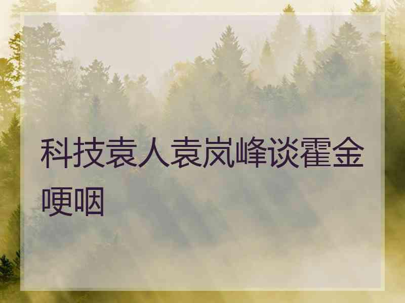 科技袁人袁岚峰谈霍金哽咽 科技袁人袁岚峰谈霍金哽咽