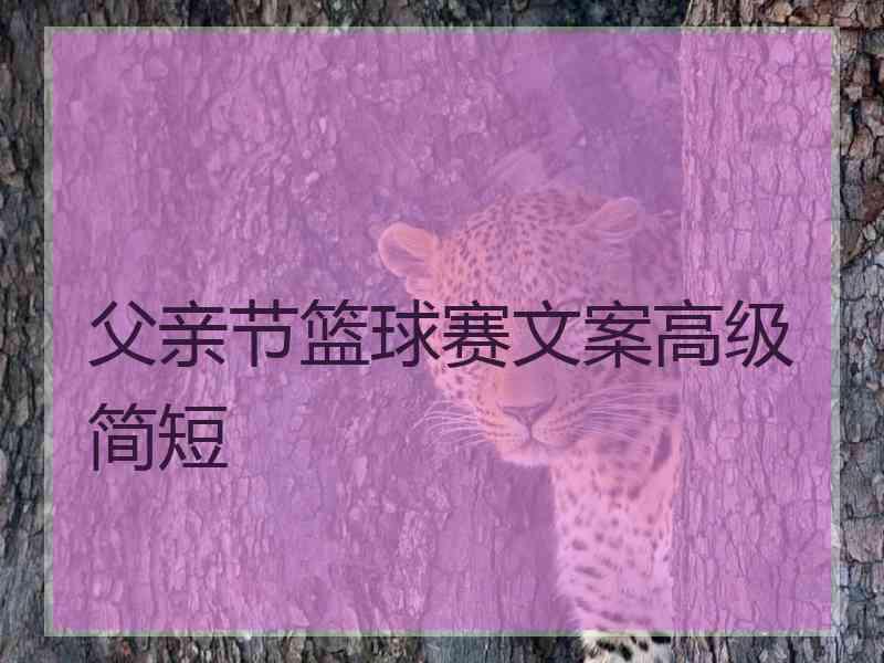 父亲节篮球赛文案高级简短 父亲节篮球赛文案高级简短