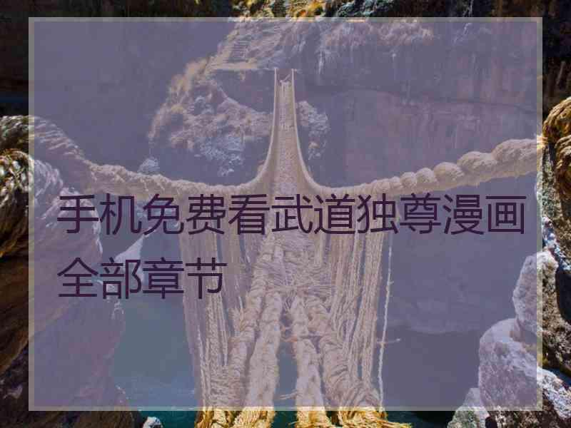 手机免费看武道独尊漫画全部章节 手机免费看武道独尊漫画全部章节