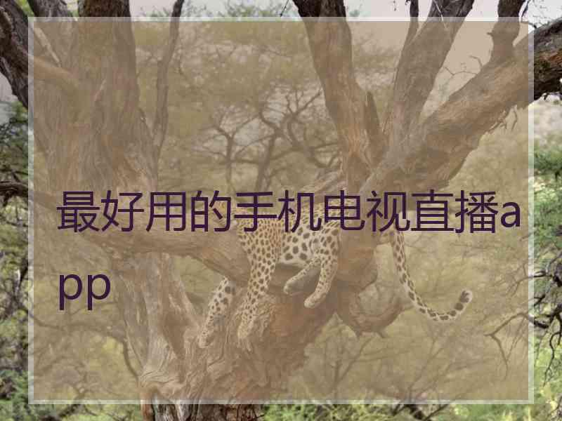 最好用的手机电视直播app 最好用的手机电视直播app
