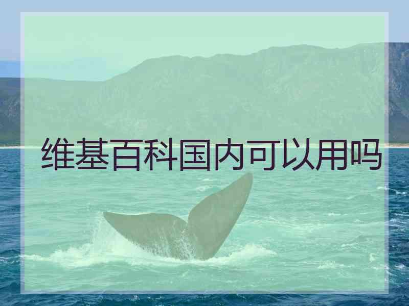 维基百科国内可以用吗 维基百科国内可以用吗
