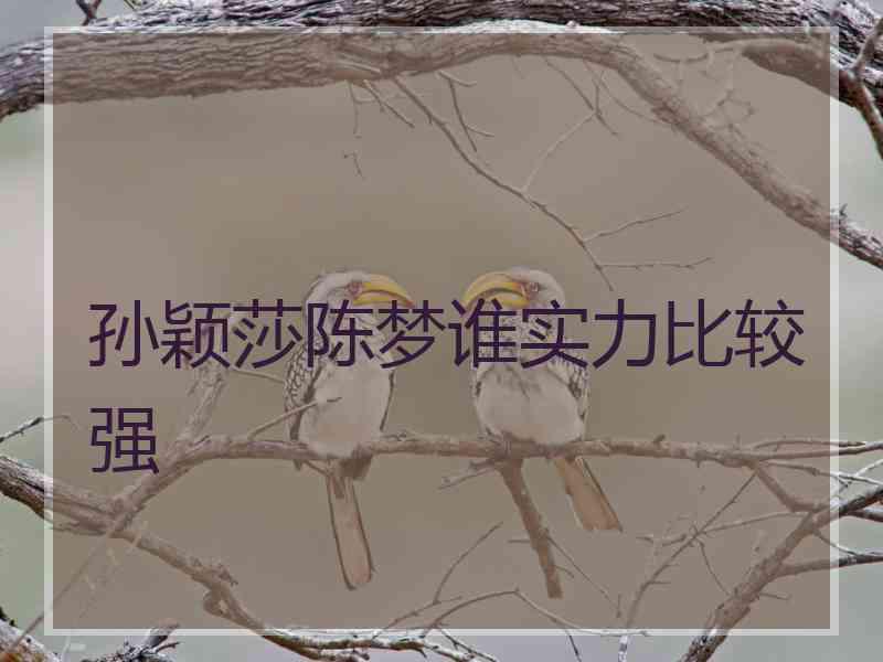 孙颖莎陈梦谁实力比较强 孙颖莎陈梦谁实力比较强
