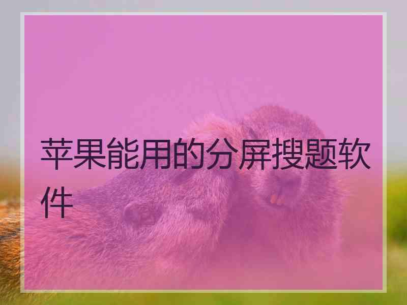 苹果能用的分屏搜题软件 苹果能用的分屏搜题软件