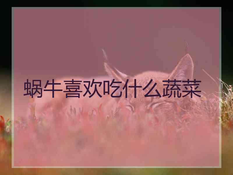 蜗牛喜欢吃什么蔬菜 蜗牛喜欢吃什么蔬菜