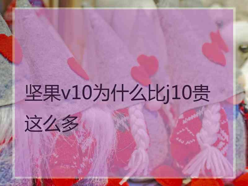 坚果v10为什么比j10贵这么多 坚果v10为什么比j10贵这么多