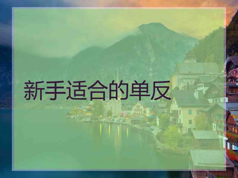 新手适合的单反 新手适合的单反