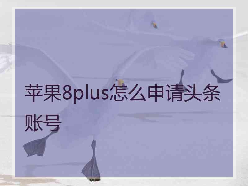 苹果8plus怎么申请头条账号 苹果8plus怎么申请头条账号
