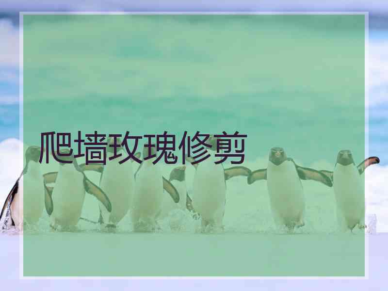 爬墙玫瑰修剪 爬墙玫瑰修剪