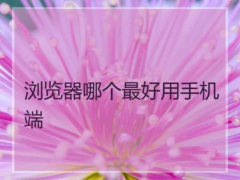 浏览器哪个最好用手机端 浏览器哪个最好用手机端