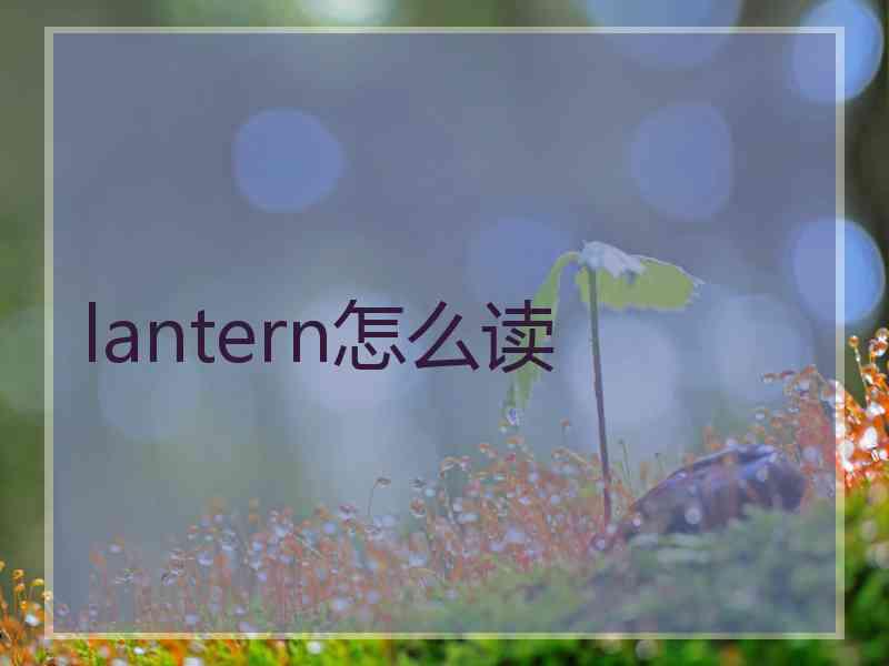 lantern怎么读 lantern怎么读