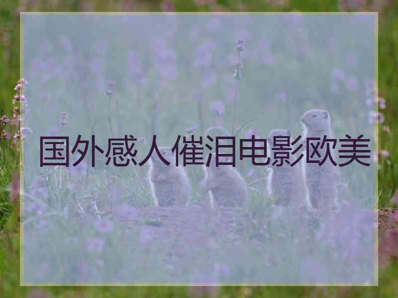 国外感人催泪电影欧美 国外感人催泪电影欧美