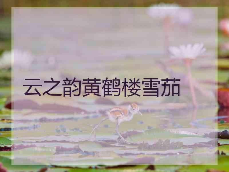 云之韵黄鹤楼雪茄 云之韵黄鹤楼雪茄