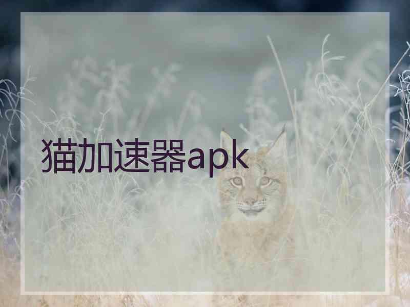 猫加速器apk 猫加速器apk